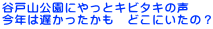 JˎRɂƃLr^L̐ N͒x@ǂɂ́H