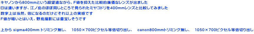 キヤノンから800mmという超望遠ながら、F値を抑えた比較的廉価なレンズが出ました 日は違いますが、江ノ島のほぼ同じところで見られたミヤコドリを400mmレンズと比較してみました 数字上は当然、倍になるのだけどそれ以上の実感です F値が暗いとはいえ、野鳥撮影には重宝しそうです  上から sigma400mm トリミング無し、　1050×700ピクセル等倍切り出し、　canon800mmトリミング無し、　1050×700ピクセル等倍切り出し